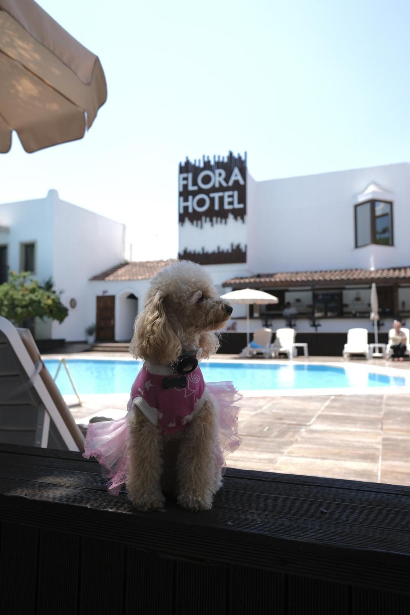 Flora Hotel Gümbet Exterior foto
